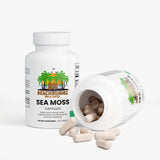 Sea Moss